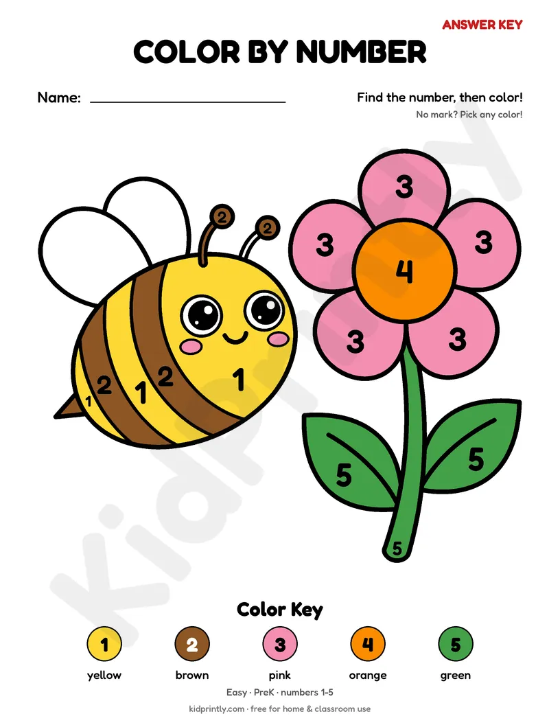 Bee and Flower Color by Number answer key, fully colored