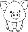 pig