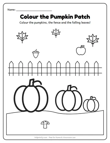 Pumpkin Patch Colouring Page worksheet preview